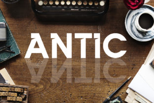 Antic: A Bold and Distinctive Sans Serif Font for Editorial Design