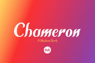 Chameron: A Bold and Modern Serif Font for Creative Makers
