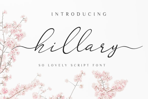 Discover the Charm of Hillary: A Script Handwritten Font